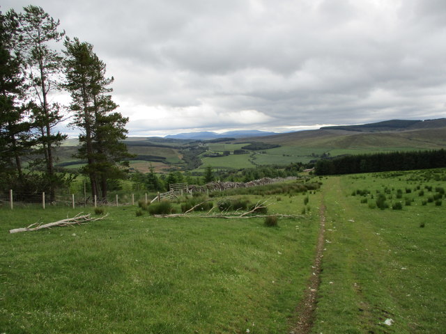 Track east of Nevie Hill