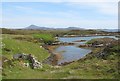 Sheepfold and tidal inlet