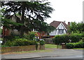 Houses on High Road (A121)