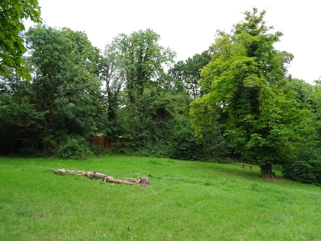 Woodland beside High Road (A121)