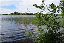 H2248 : Ripples in the water, Lough Erne by Kenneth  Allen