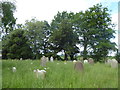 St John the Baptist, Westfield: churchyard (a)