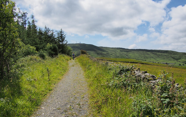 Path, Drumkeeragh Forest