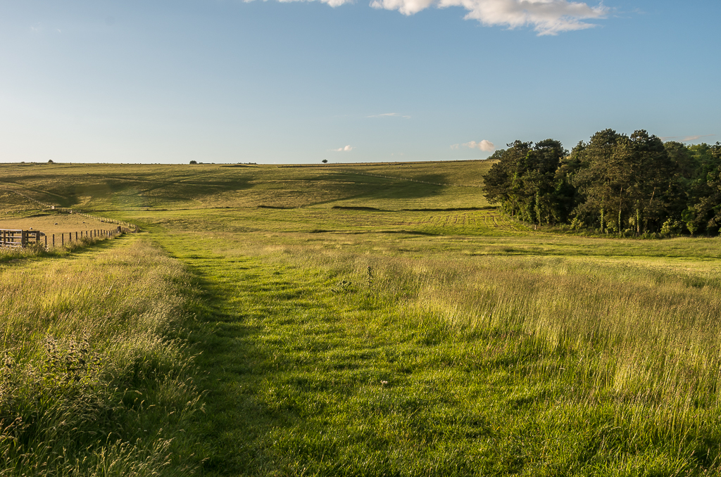 Milk Hill © Ian Capper cc-by-sa/2.0 :: Geograph Britain and Ireland