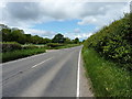 The A458 road approaching Burnt Tree Cross