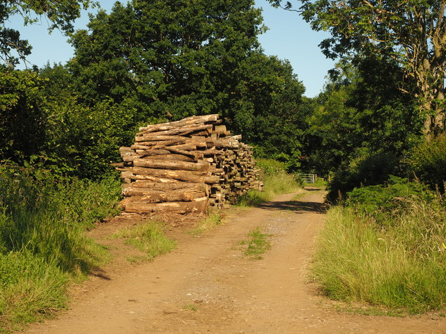 Bridleway Woodpile