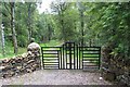 Unique gate design at Loch Tummel House