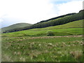 Hills on the south side of Glen Shee