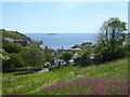 Cadgwith from above