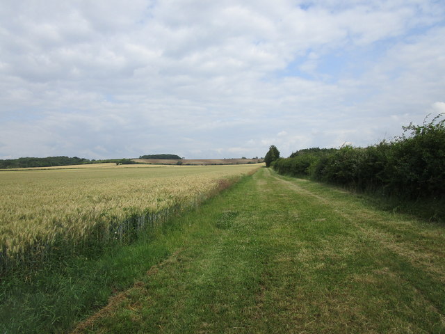 Field edge near Kim's Spinney