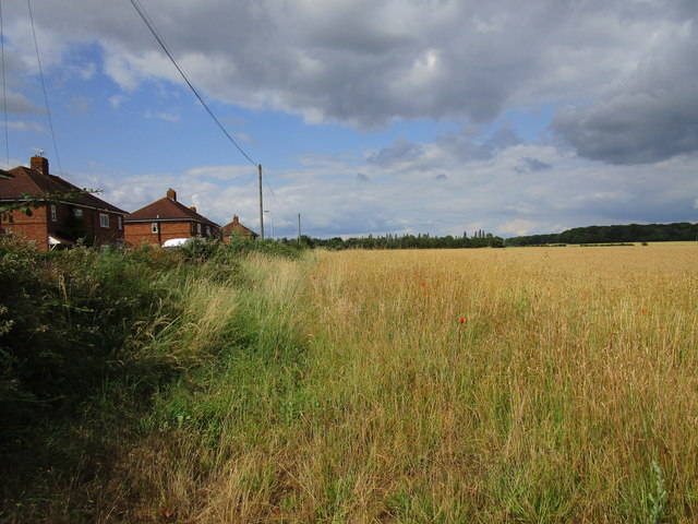 Field and houses in East Lane