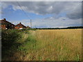 Field and houses in East Lane