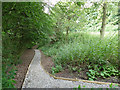 Path into Offley Wood