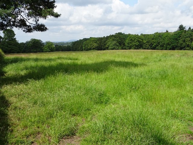 Field near Oak Farm
