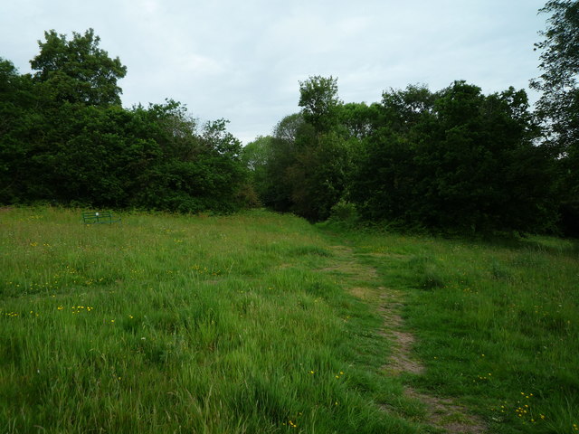 Whitcliffe Common (Ludlow)
