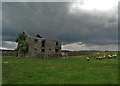 Old barn and sheep on Stanley Moor