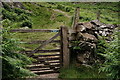 NY2000 : Gate to the Fells by Peter Trimming