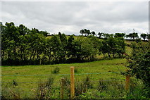 H3062 : Countryside at Corlaghdergan by Kenneth  Allen