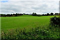 Corlaghdergan Townland