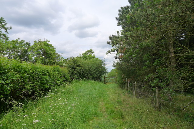 The Midshires Way north of Freezeland... © Tim Heaton :: Geograph ...