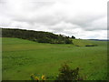 Farmland south of Aberchirder