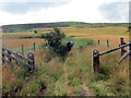 Uwchben Afan Argoed / Above Afan Argoed