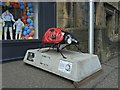 NS4864 : Sculpture: Ladybird by Lairich Rig