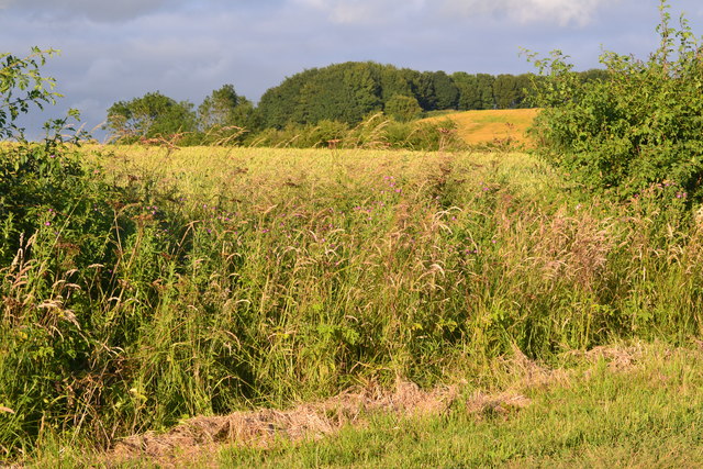 Roadside view between Belchford and Fulletby