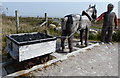 SJ1283 : Pit pony sculpture by Mat Fascione