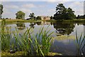 SO8844 : Croome Park in summertime by Philip Halling