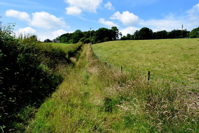 Overgrown track along a field, Castletown