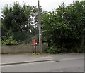 Queen Elizabeth II postbox, Lloyds Terrace, Adpar, Ceredigion