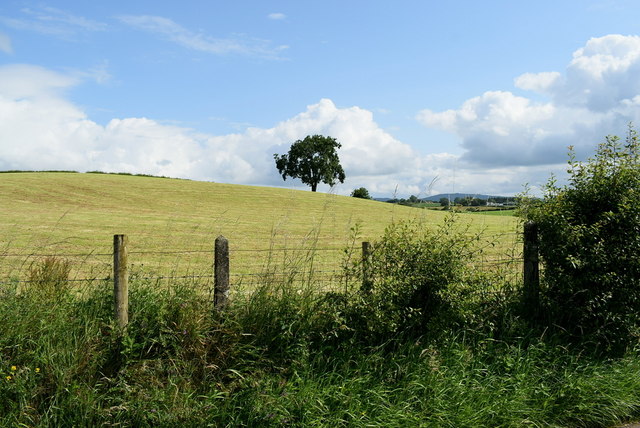 Gortnacreagh Townland © Kenneth Allen cc-by-sa/2.0 :: Geograph Ireland