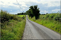 H4178 : Cashty Road, Gortnacreagh by Kenneth  Allen