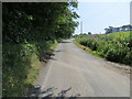 Road (B7063) beside High Lodge Belt woodland