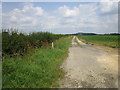 Farm track near Westfield Farm