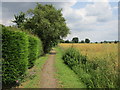 Footpath behind the houses, Old Somerby