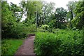 Public footpath approaching footbridge over Laughern Brook, St. John