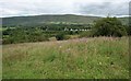 Red Moss grassland