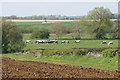 Cattle near Tythrop Park Farm