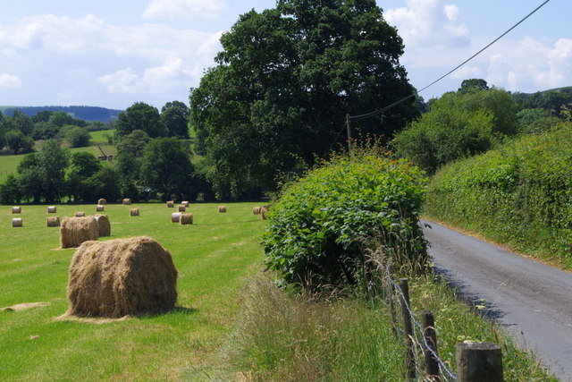 Country lane by a meadow with bales