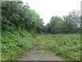 Western end of Back Lane, Dalton