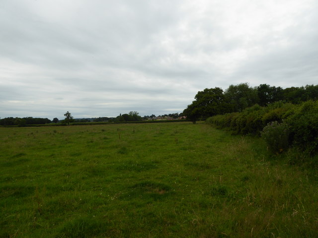 On a field edge path © Jeremy Bolwell :: Geograph Britain and Ireland