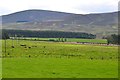 Thankerton Moor and Tinto from Perryflats