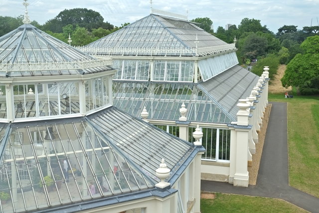 At the Temperate House