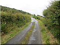 NX3246 : Hedge-lined minor road near to Barr Hill by Peter Wood