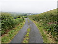 Hedge-lined minor road near to Barr Hill heading in the direction of Elrig