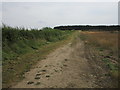 Footpath to Danethorpe Hill