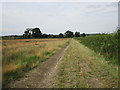 Footpath to Norwell Lane