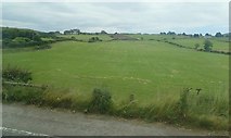 J0720 : Fields on the East side of the B113 at Killeen by Eric Jones